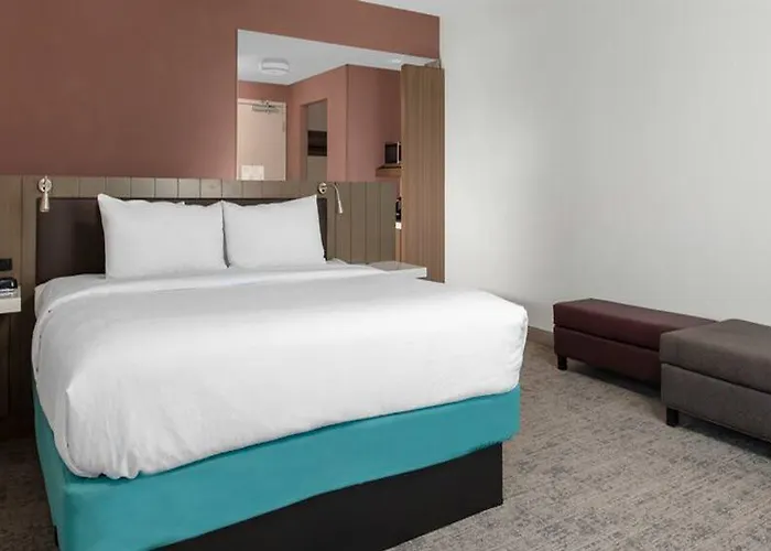 Hotel Hilton Garden Downtown 3*