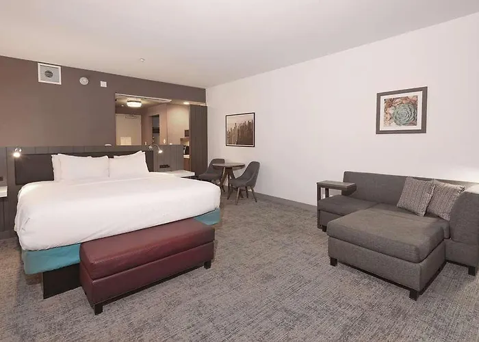 Hotel Hilton Garden Downtown